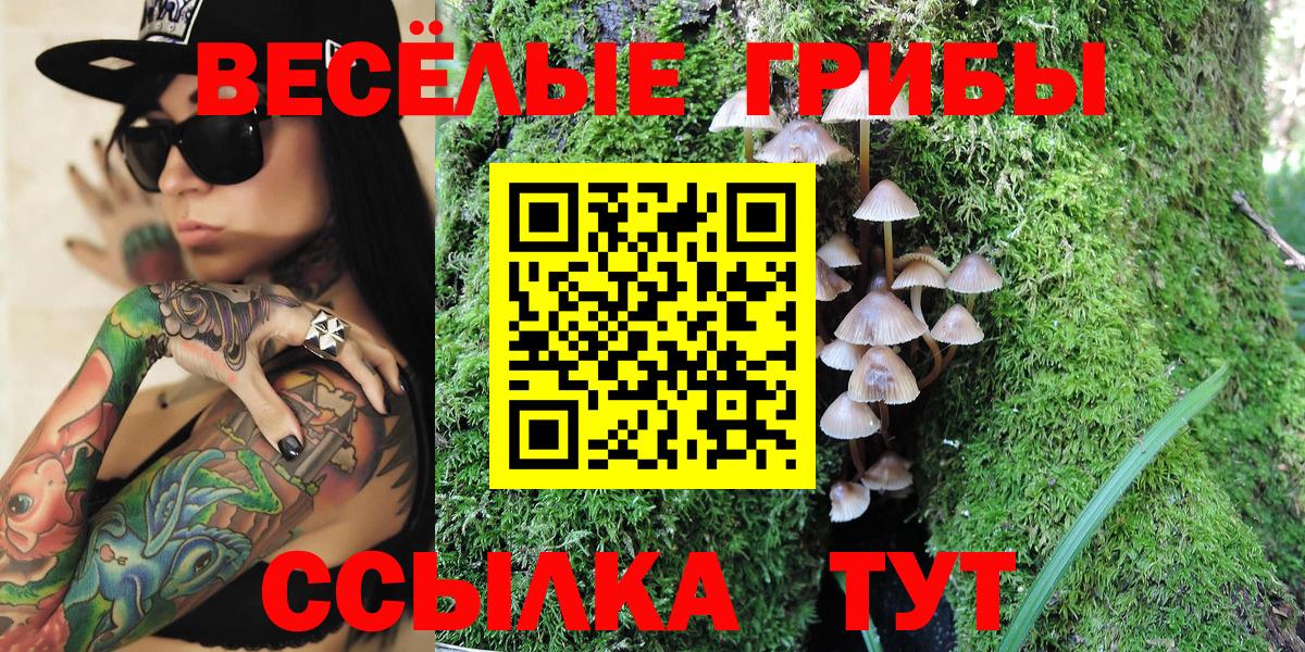 Галлюциногенные грибы прущие грибы Смоленск
